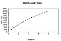 Eurofins DiscoverX PLK3 Protein, Active 10 &mu;g | Buy Online | Eurofins DiscoverX | Fisher Scientific